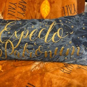 Harry Potter decorative pillow